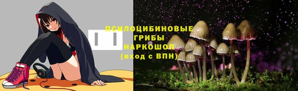 ГАЛЛЮЦИНОГЕННЫЕ ГРИБЫ Богородск