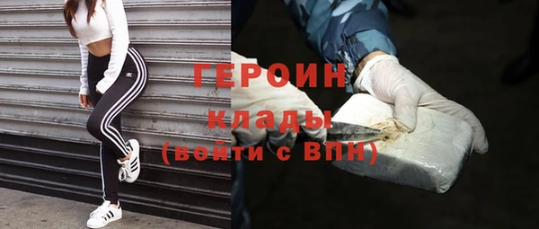 прущие грибы Беломорск