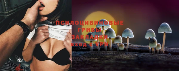 стафф Богородицк