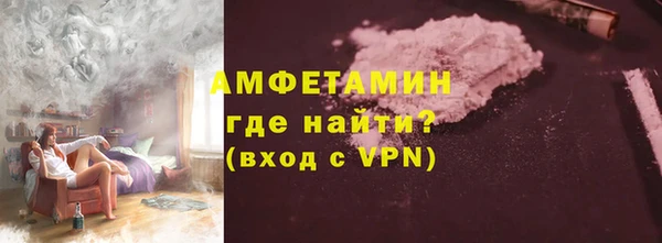 ECSTASY Богданович