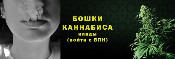 ГАЛЛЮЦИНОГЕННЫЕ ГРИБЫ Богородск