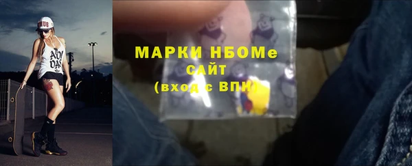ECSTASY Богданович