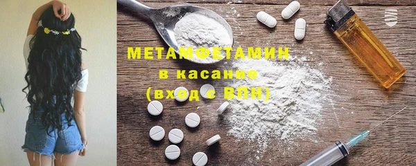 прущие грибы Беломорск