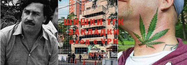 стафф Богородицк