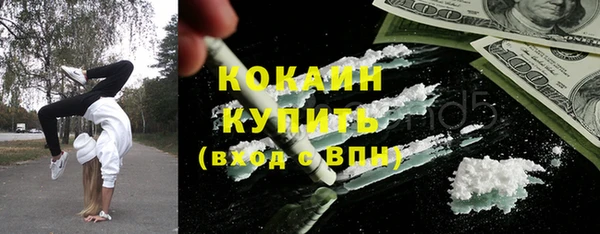 прущие грибы Беломорск