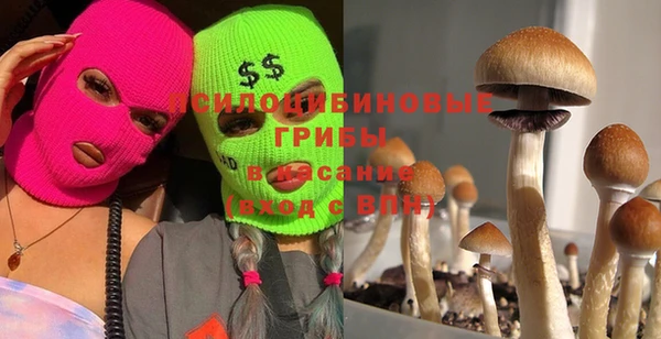 МДМА Белокуриха