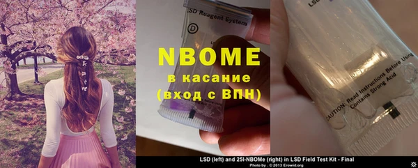 ECSTASY Богданович