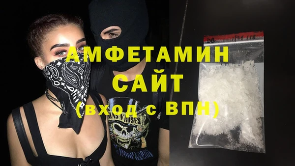 прущие грибы Беломорск