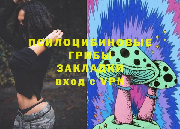 ECSTASY Богданович